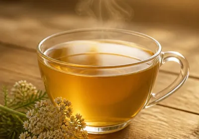 Infusion de achillée millefeuille