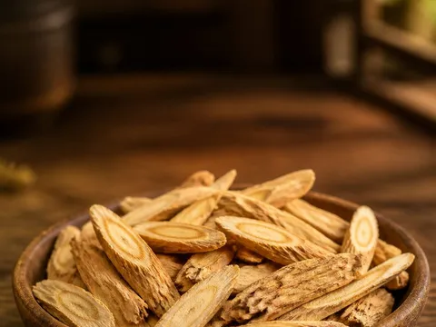 Astragale — photo principale