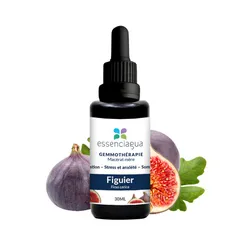 Macérat de bourgeons de Figuier Bio
