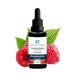 Macérat de bourgeons de Framboisier Bio