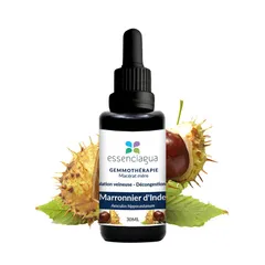 Macérat de bourgeons de Marronnier d'Inde Bio