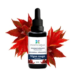 Macérat de bourgeons de Vigne rouge Bio