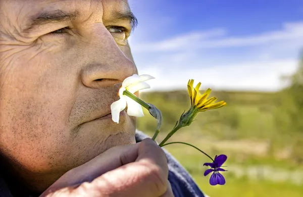 Un distillateur respire une fleur de narcisse dans un champ