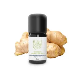 Huile Essentielle de Gingembre frais Bio