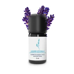 Huile Essentielle de Lavande officinale Bio