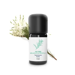 Huile Essentielle de Tea tree Bio