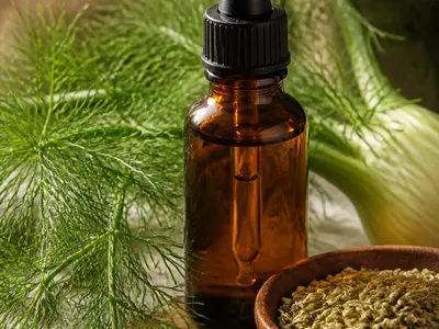 Flacon d'huile essentielle de fenouil avec graines et branches fraîches