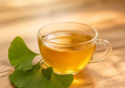 Infusion de ginkgo biloba