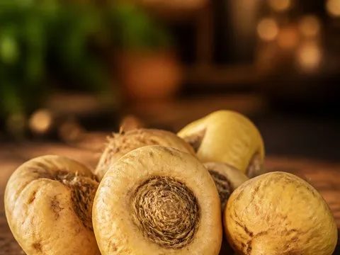 Maca — photo principale