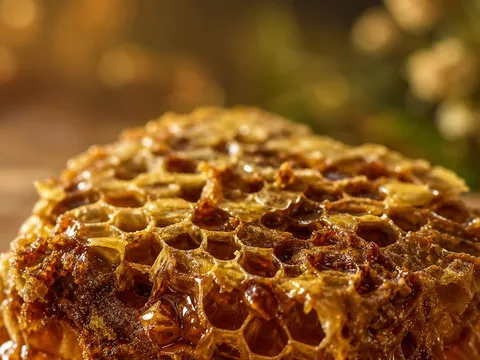 Propolis — photo principale
