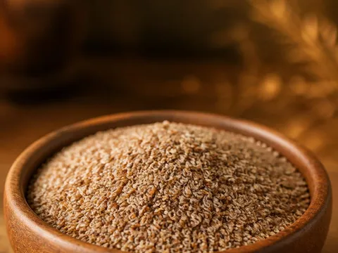 Psyllium — photo principale