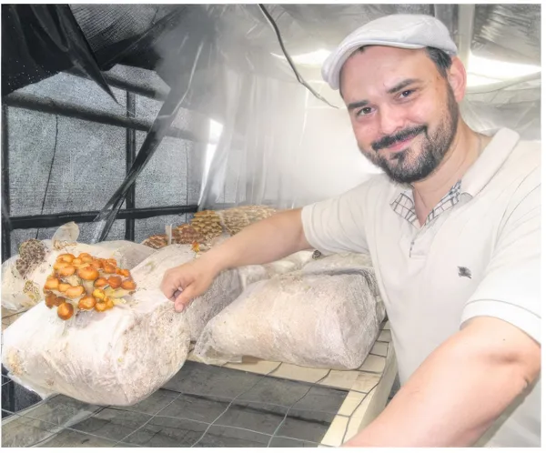 Javier, agriculteur partenaire de YNOOVI, montre des champignons qui poussent sur des sacs de substrat