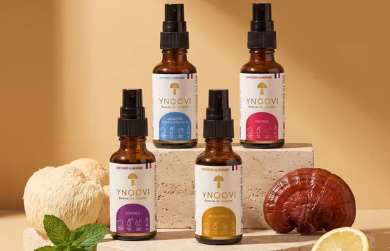Les quatre sprays YNOOVI posés sur des blocs de pierre, entre un lion's mane, un reishi, de la menthe et un citron